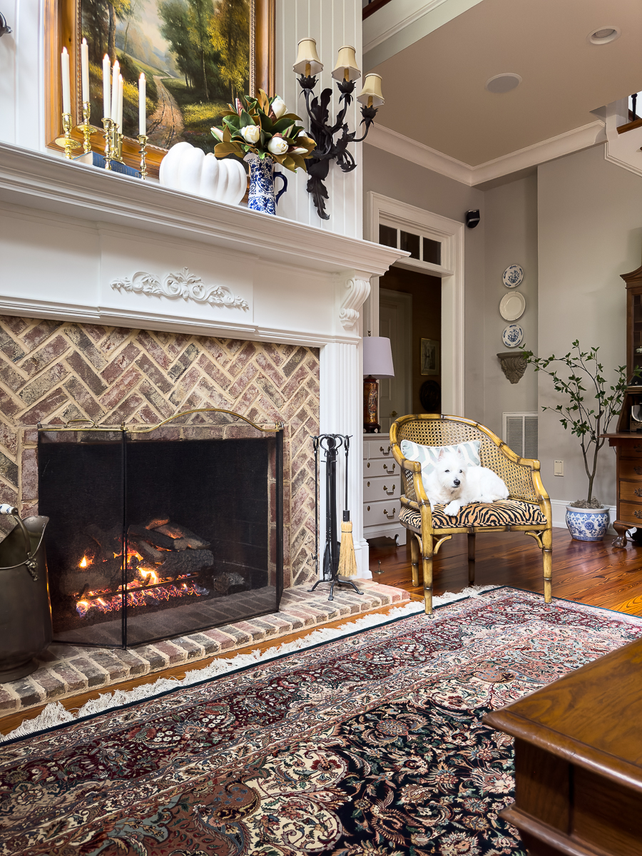 dog sitting by fireplace