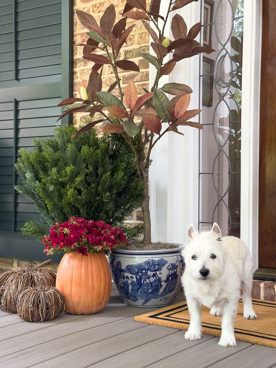 cozy fall poorch with westie