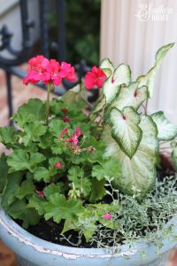 Adding pop of color to the front porch with plants from Monrovia. Great ideas for updating old pots and planting pots. #monrovia #ad