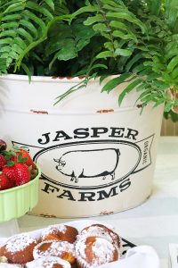 Trisha Yearwood Home Collection at Tractor Supply is affordable and oozing with vintage, farmhouse charm! #ad #TrishaAtTSC #tractorSupply #farmhouse #vintage